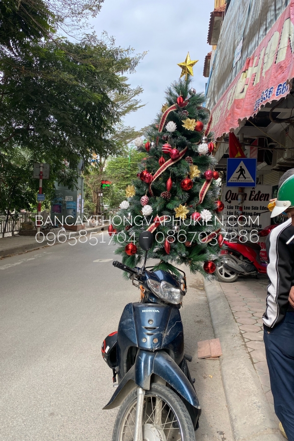 COMBO Cây Thông Cước Xanh Lăn Kim Tuyến Bạc Tổng Đỏ Trắng Cực Sang Lạ - 2M