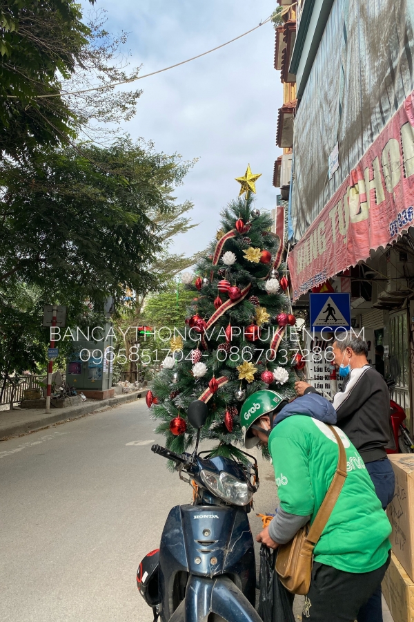 COMBO Cây Thông Cước Xanh Lăn Kim Tuyến Bạc Tổng Đỏ Trắng Cực Sang Lạ - 2M