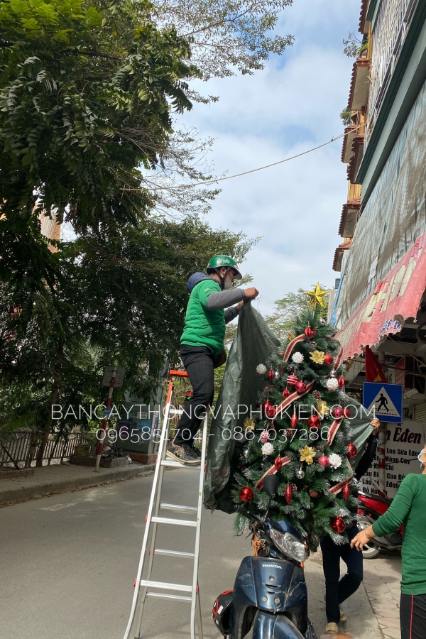 COMBO Cây Thông Cước Xanh Lăn Kim Tuyến Bạc Tổng Đỏ Trắng Cực Sang Lạ - 2M