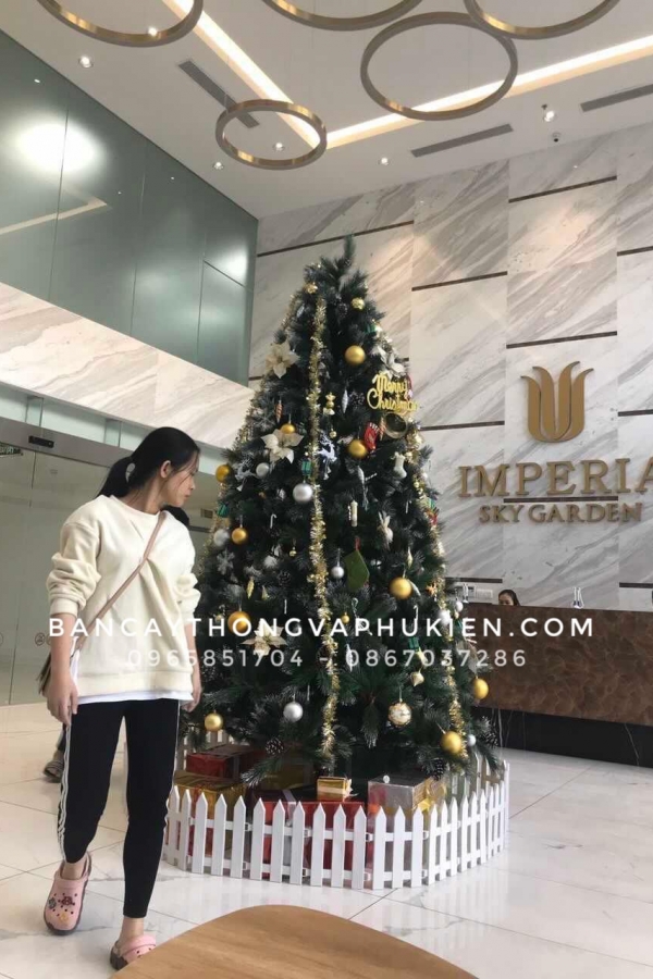 COMBO Cây Thông Cước Xanh Lăn Kim Tuyến Bạc Truyền Thống Sảnh MIK- 2.4M