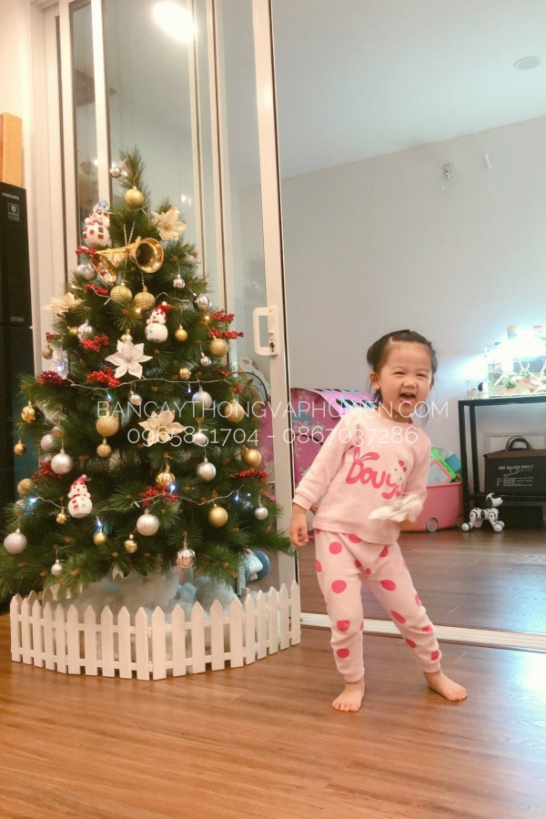 COMBO Cây Thông Cước Đầu Vàng Gắn Chùm Trái Đỏ - Y Thông Thật - 1.5M