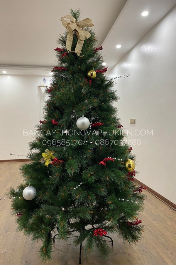 COMBO Cây Thông Cước Đầu Vàng Gắn Chùm Trái Đỏ - Y Thông Thật Hồng Ngọc Nhẹ Nhàng - 2.1M