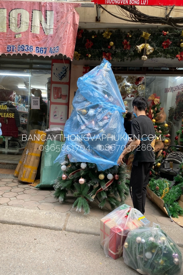 COMBO Cây Thông Cước Xanh Lăn Kim Tuyến Bạc Tông Trắng Hồng Ngọc - 2.1M