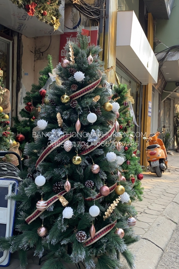 COMBO Cây Thông Cước Xanh Lăn Kim Tuyến Bạc Tông Trắng Hồng Ngọc - 2.1M