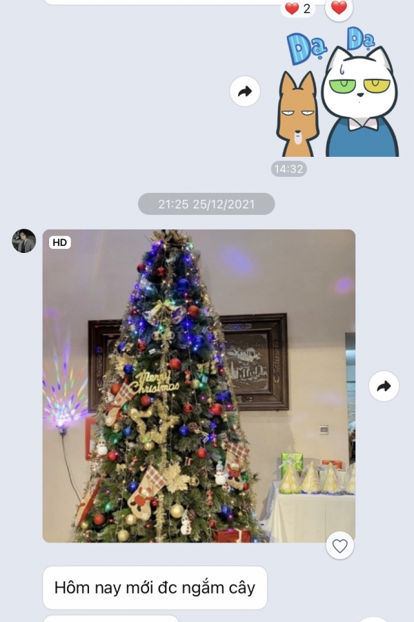 COMBO Cây Thông Cước Xanh Lăn Kim Tuyến Bạc Nhiều Chi Tiết - 3M