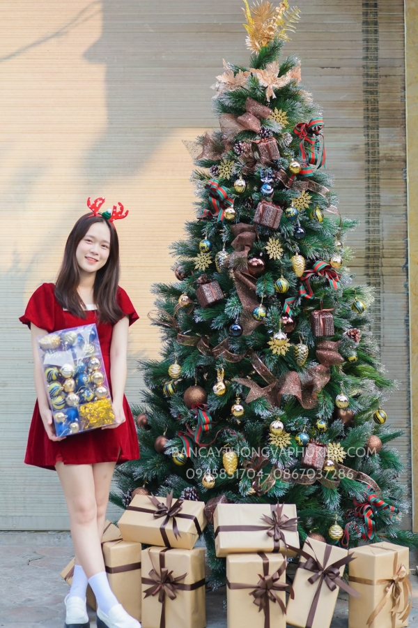 COMBO Cây Thông Cước Xanh Lăn Kim Tuyến Bạc 2.4M - CAO CẤP